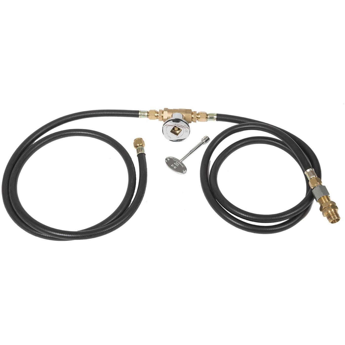 Dagan Industries Natural Gas Conversion Kit With Regulator And Fittings